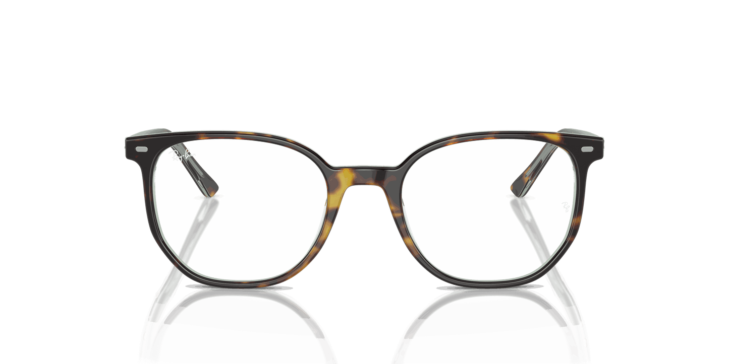 [Demo Lens Lenses, Polished Havana On Transparent Green Frame]