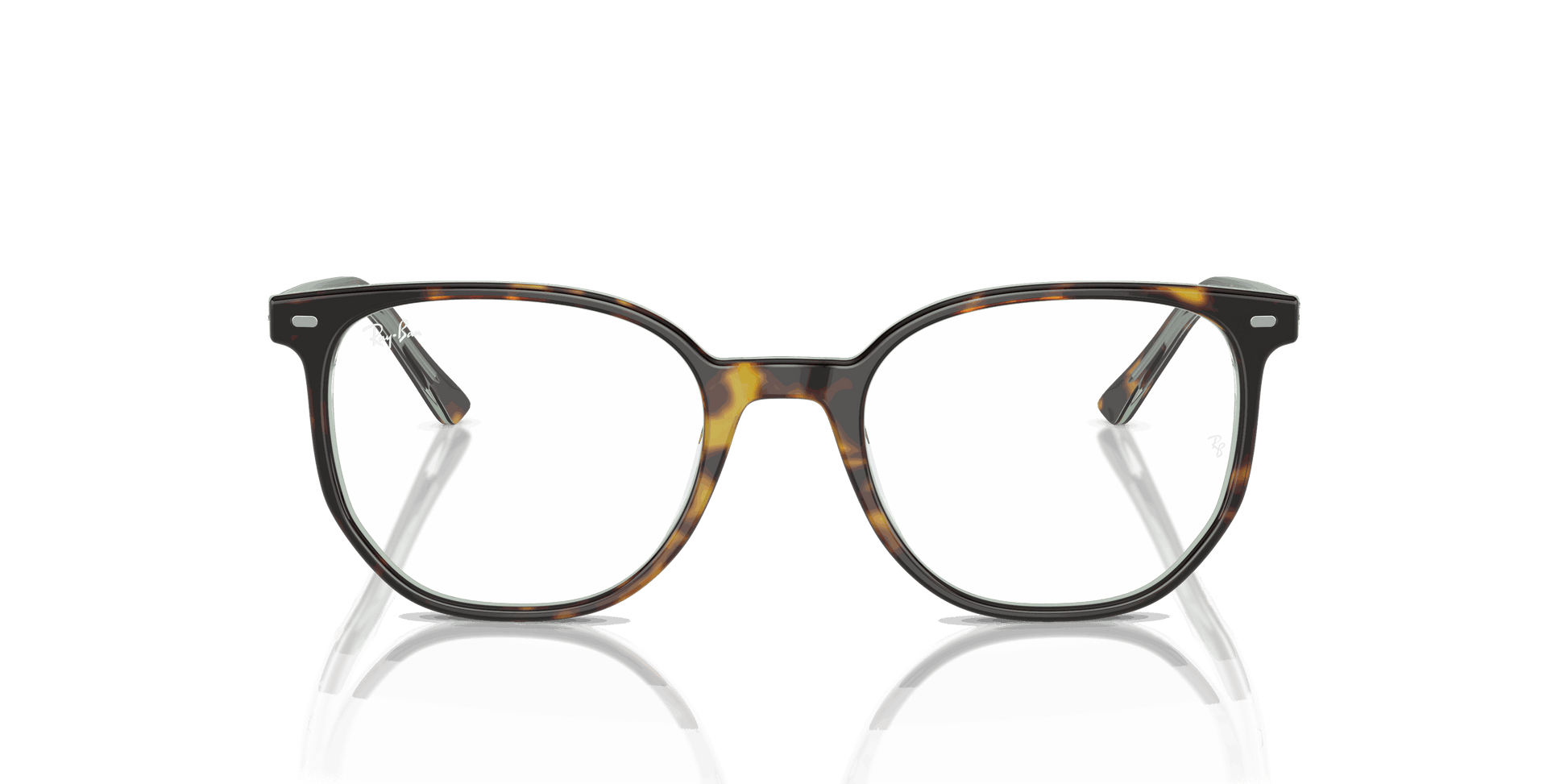 [Demo Lens Lenses, Polished Havana On Transparent Green Frame]