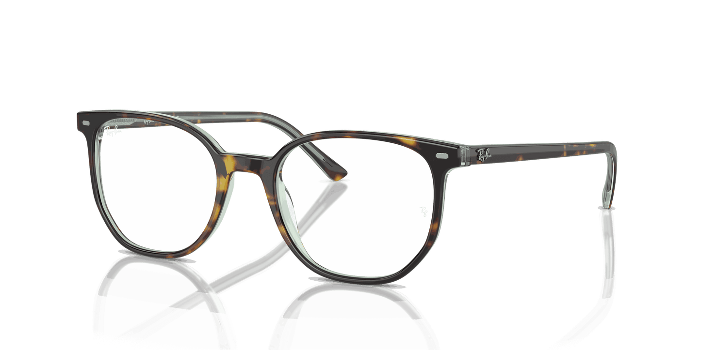 [Demo Lens Lenses, Polished Havana On Transparent Green Frame]