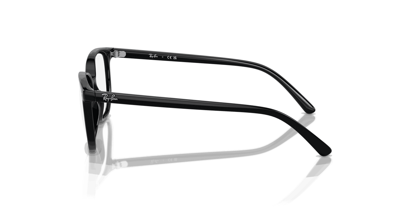 [Clear Lenses, Polished Black Frame]