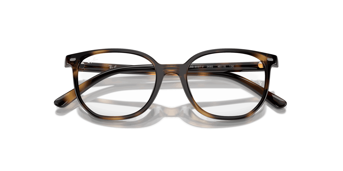 [Clear Lenses, Polished Havana Frame]