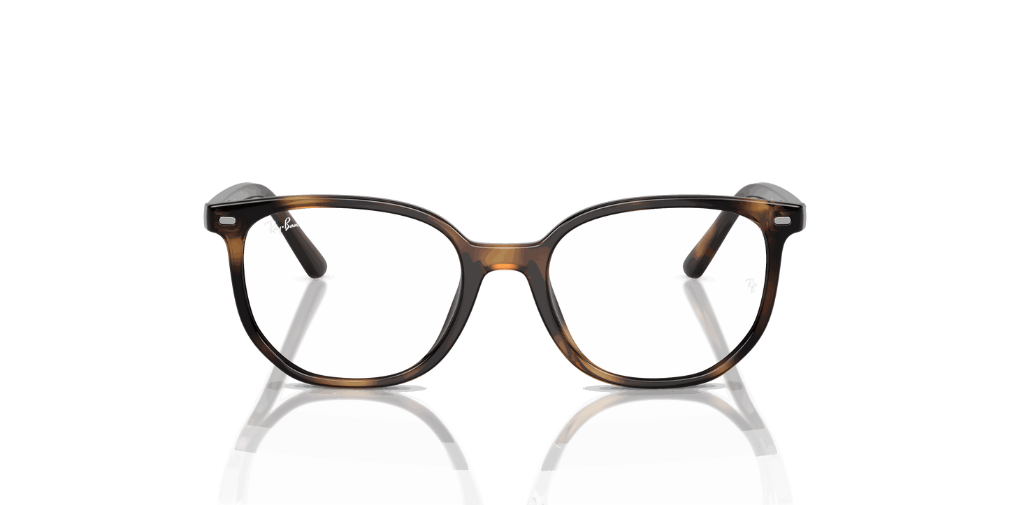 [Clear Lenses, Polished Havana Frame]