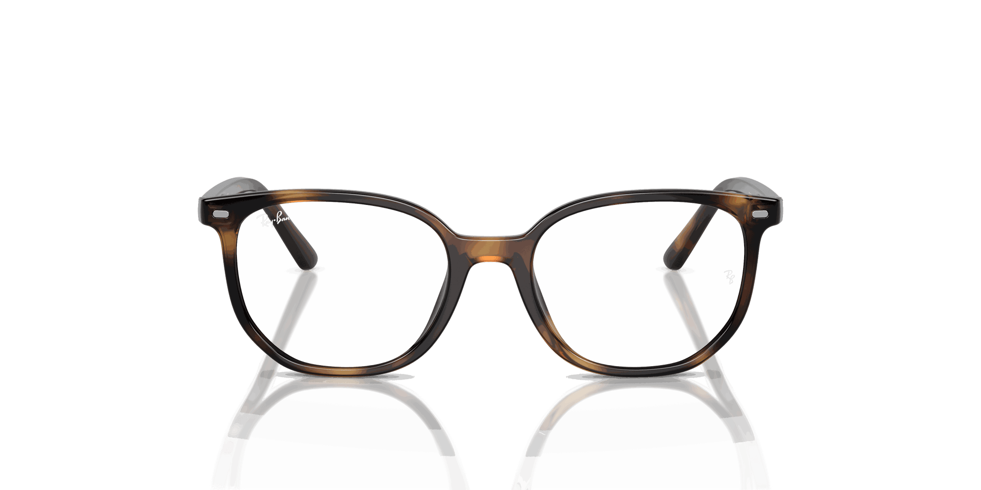 [Clear Lenses, Polished Havana Frame]