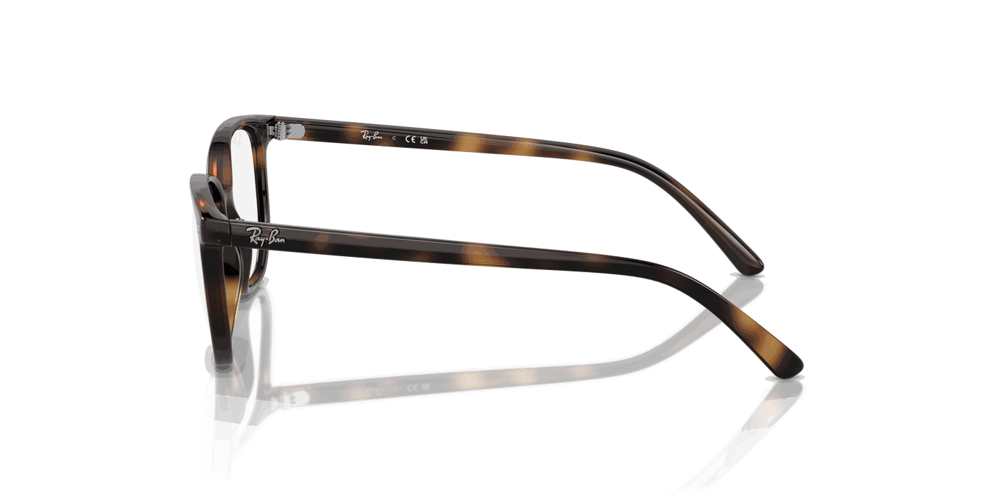 [Clear Lenses, Polished Havana Frame]