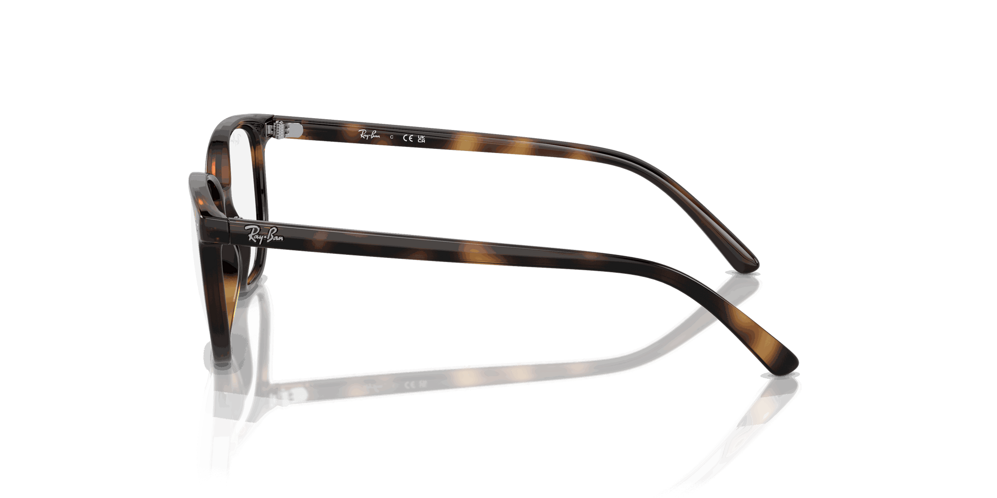[Clear Lenses, Polished Havana Frame]