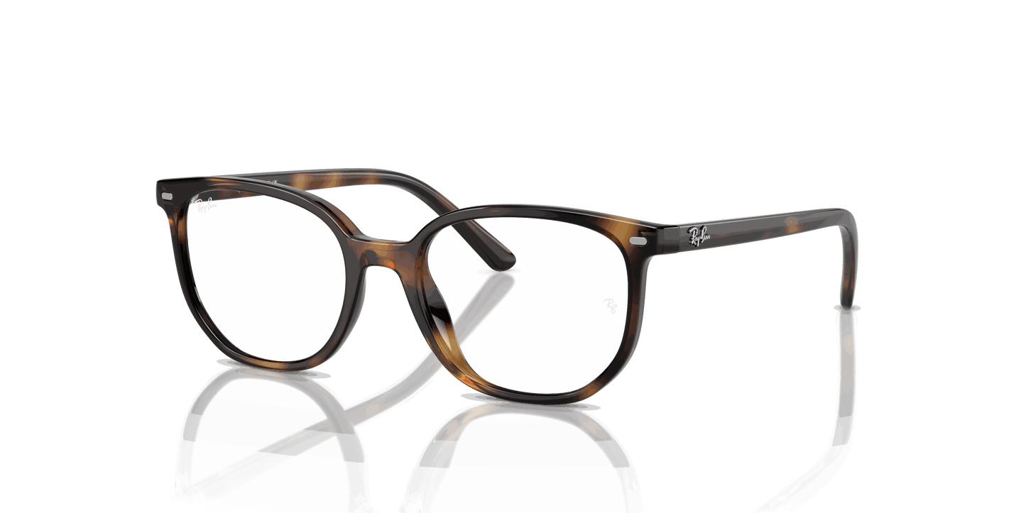 [Clear Lenses, Polished Havana Frame]