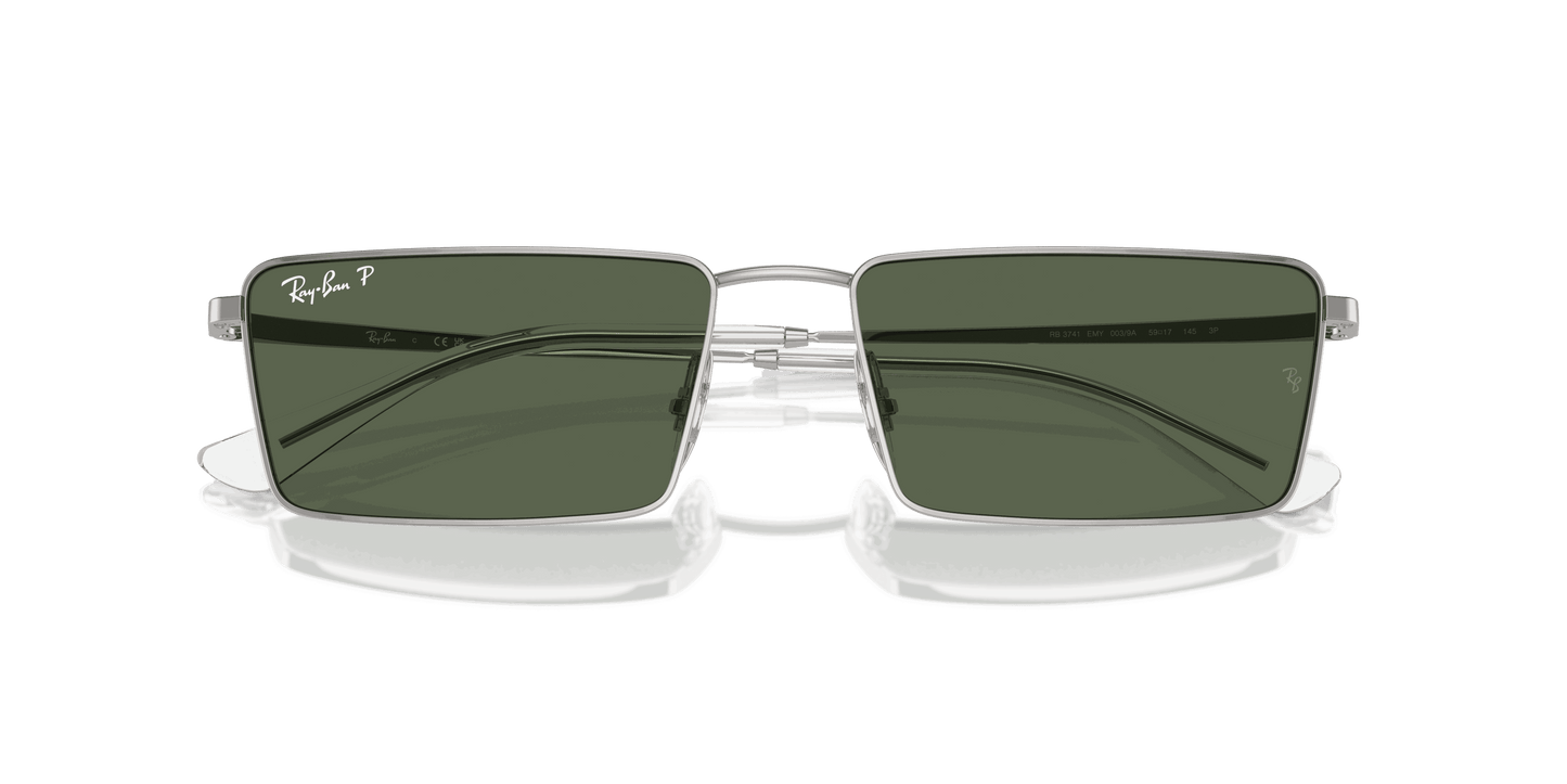 [Dark Green Lenses, Polished Silver Frame]
