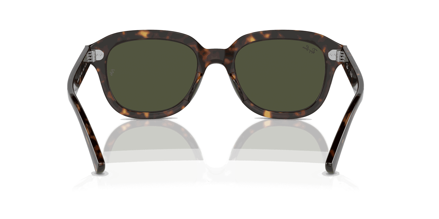 [Green Lenses, Polished Havana Frame]