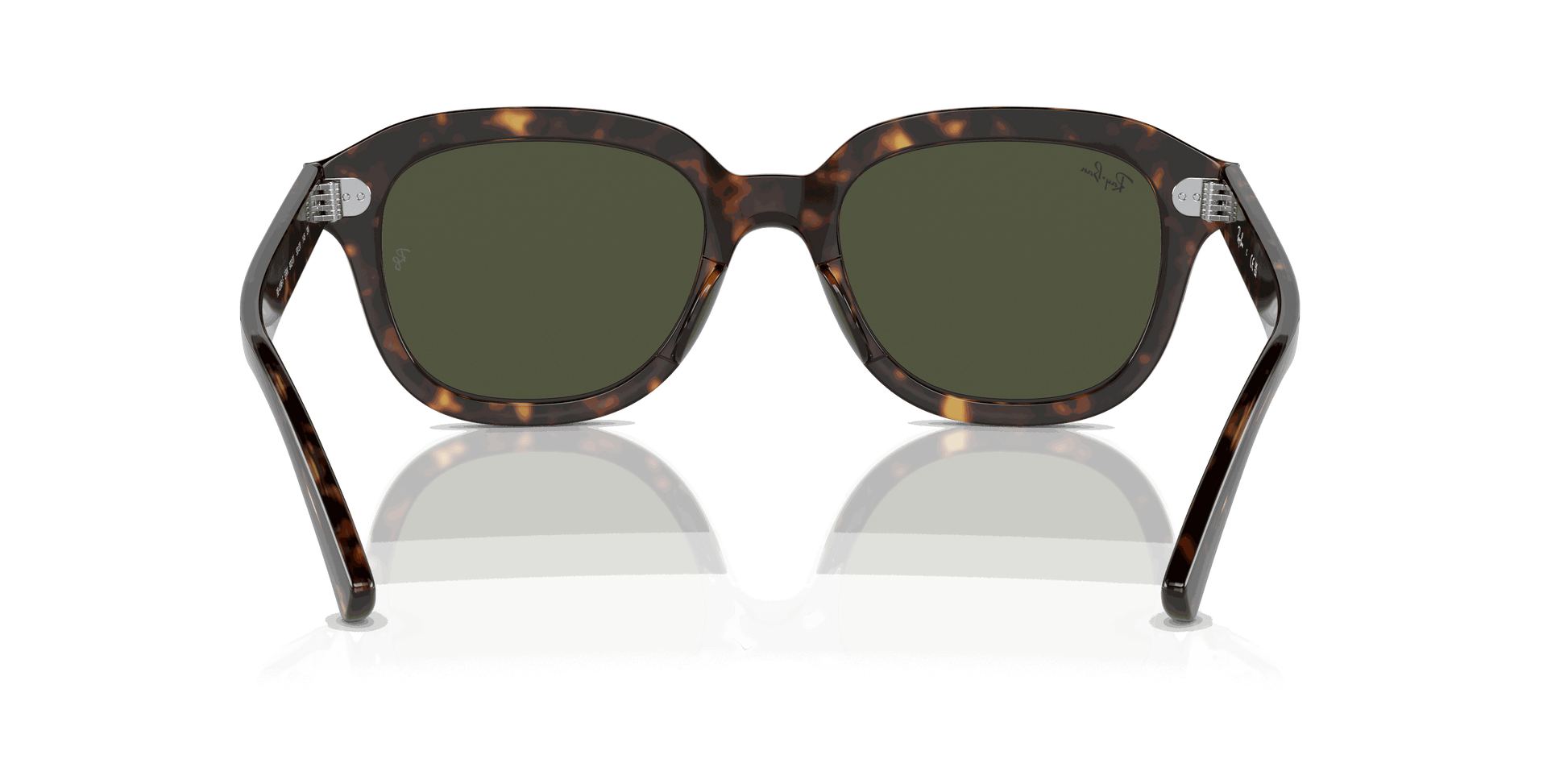 [Green Lenses, Polished Havana Frame]