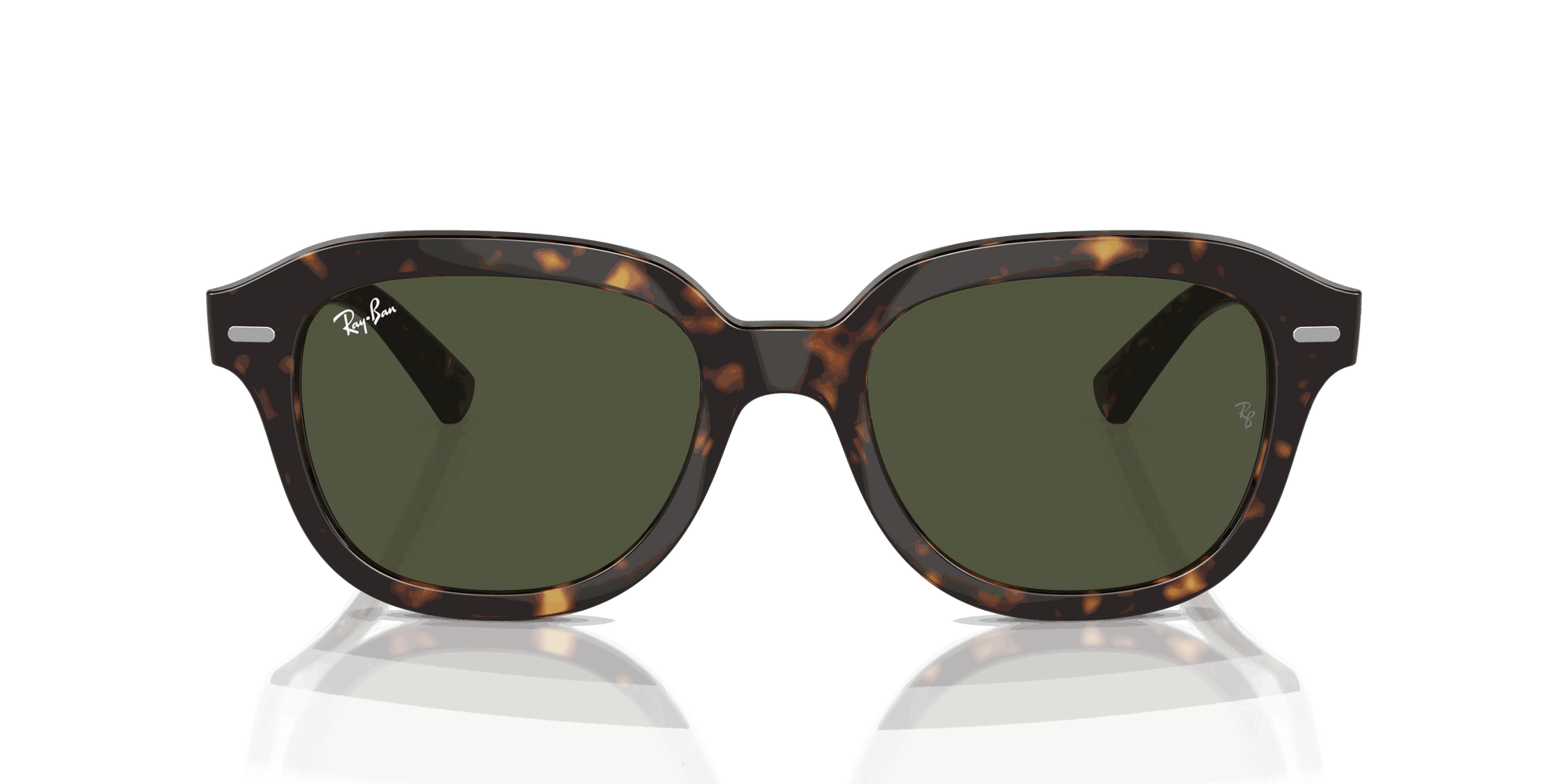 [Green Lenses, Polished Havana Frame]