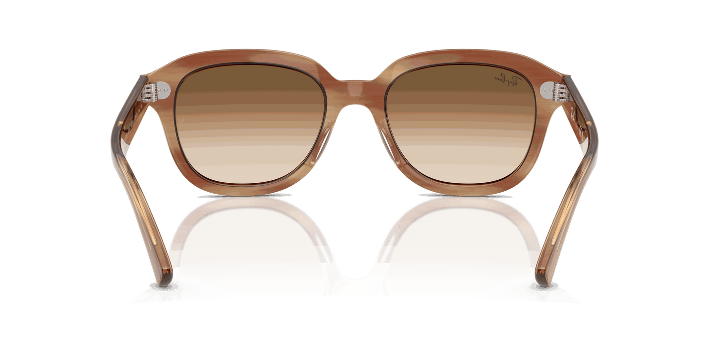 [Clear Gradient Brown Lenses, Polished Striped Brown Frame]