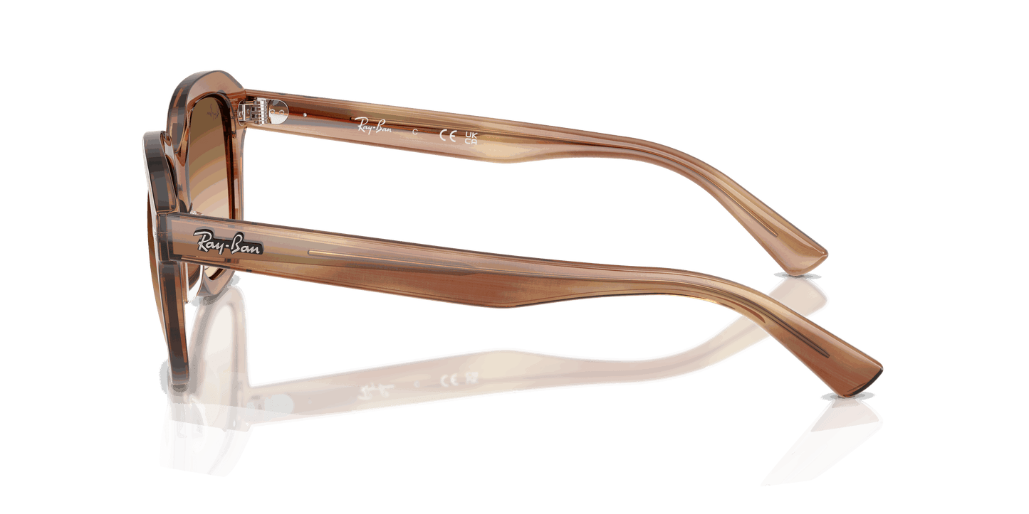 [Clear Gradient Brown Lenses, Polished Striped Brown Frame]
