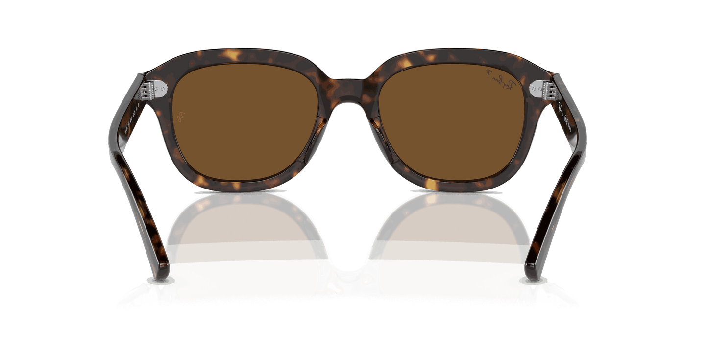 [Brown Lenses, Polished Havana Frame]