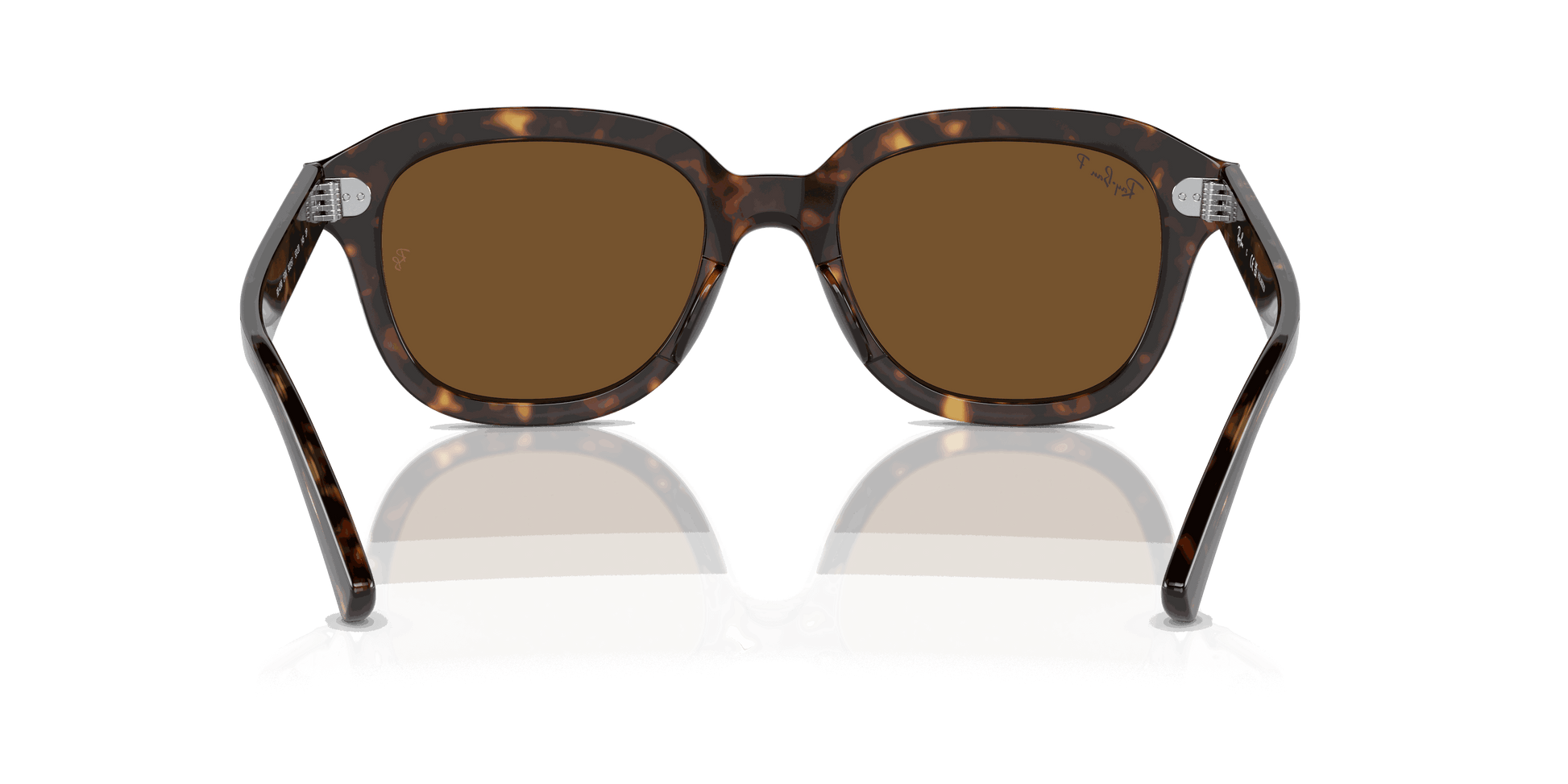 [Brown Lenses, Polished Havana Frame]