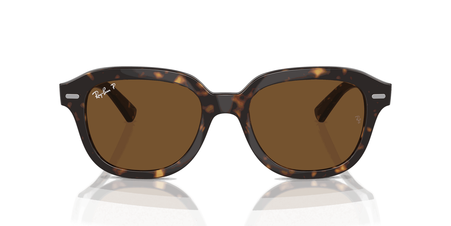 [Brown Lenses, Polished Havana Frame]
