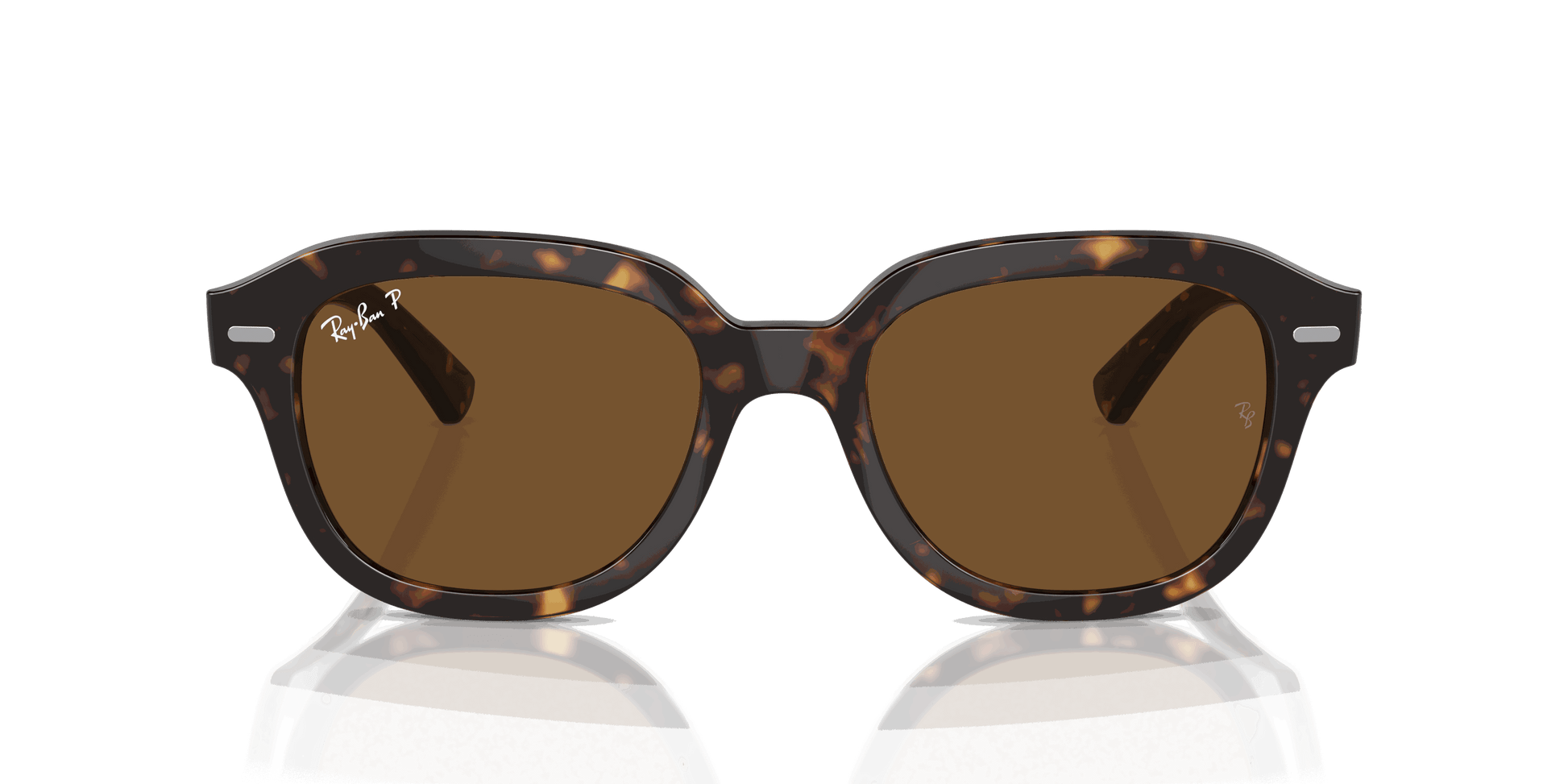 [Brown Lenses, Polished Havana Frame]