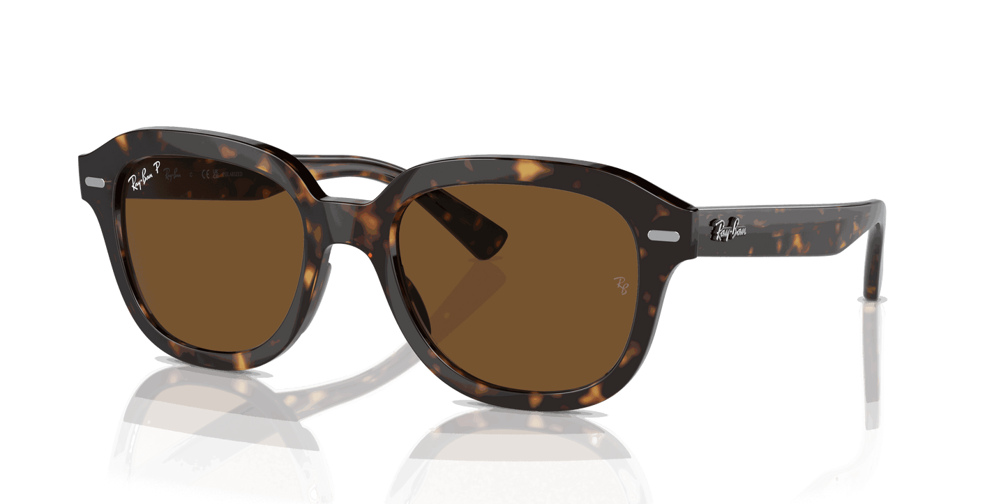 [Brown Lenses, Polished Havana Frame]
