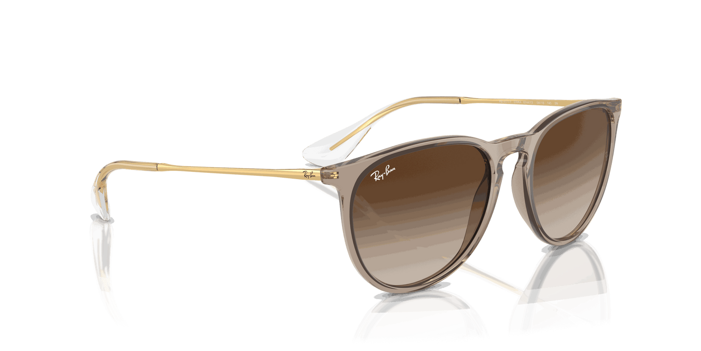 [Brown Lenses, Polished Transparent Light Brown Frame]