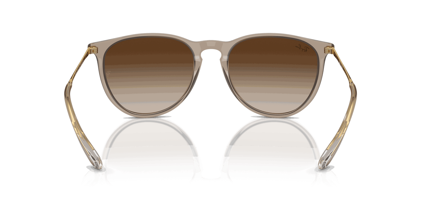 [Brown Lenses, Polished Transparent Light Brown Frame]