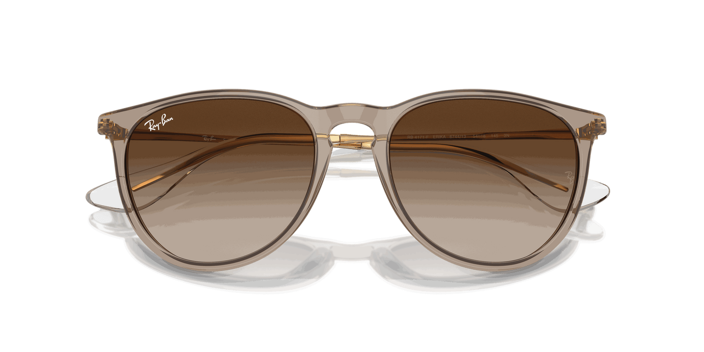 [Brown Lenses, Polished Transparent Light Brown Frame]