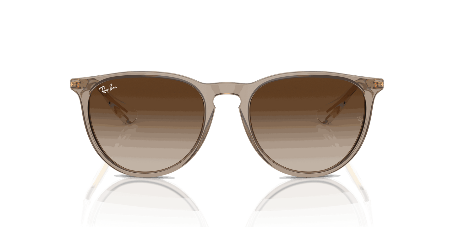 [Brown Lenses, Polished Transparent Light Brown Frame]