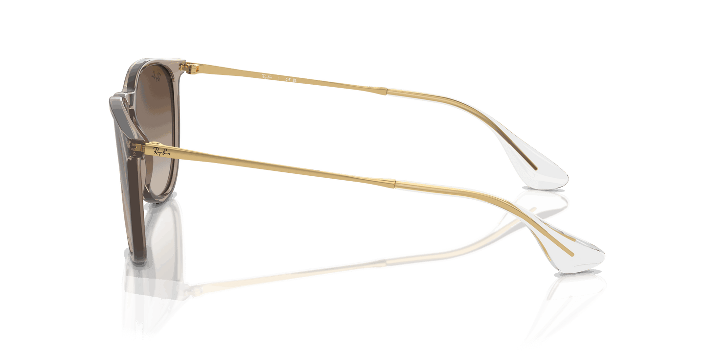 [Brown Lenses, Polished Transparent Light Brown Frame]