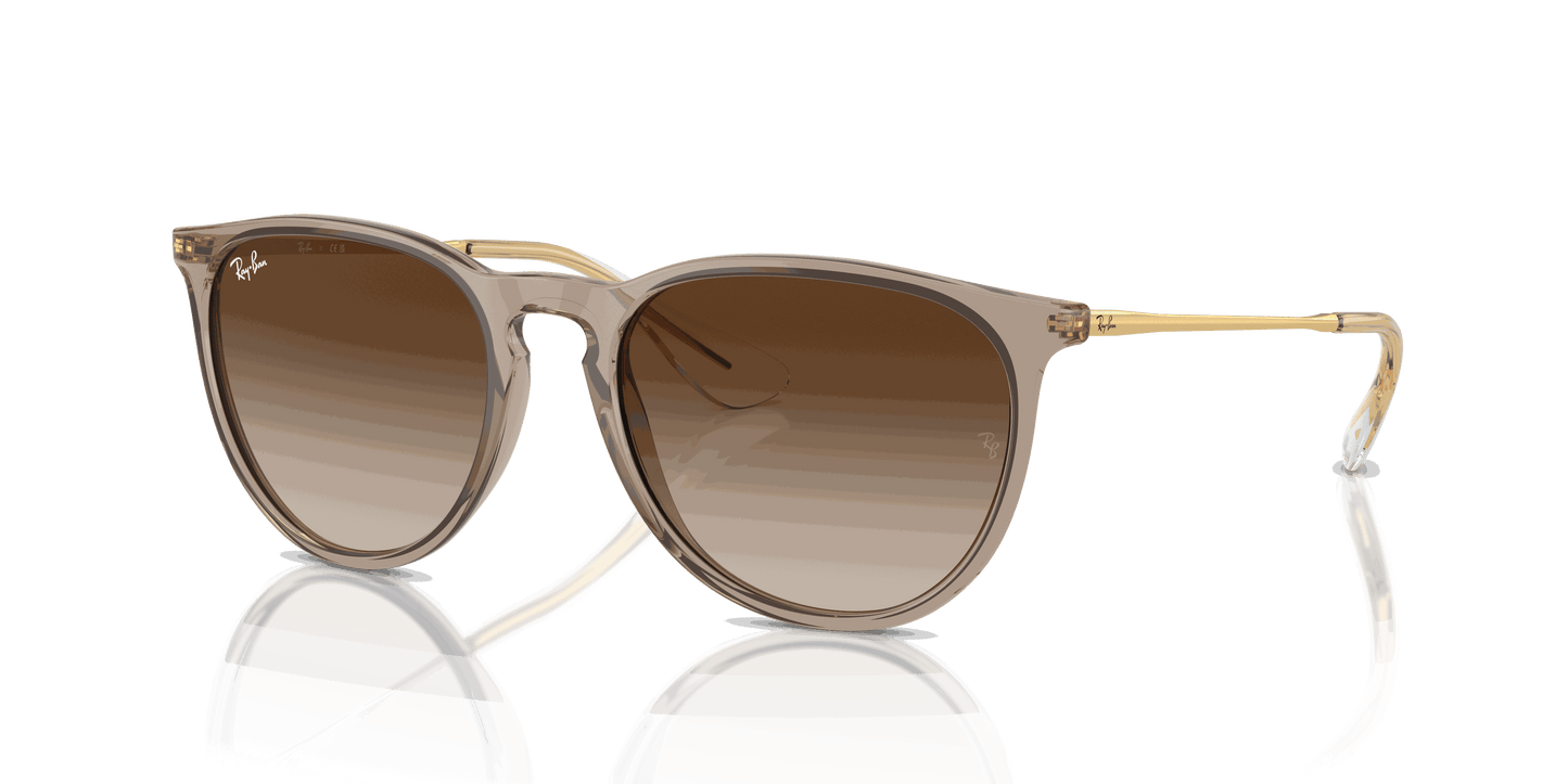 [Brown Lenses, Polished Transparent Light Brown Frame]