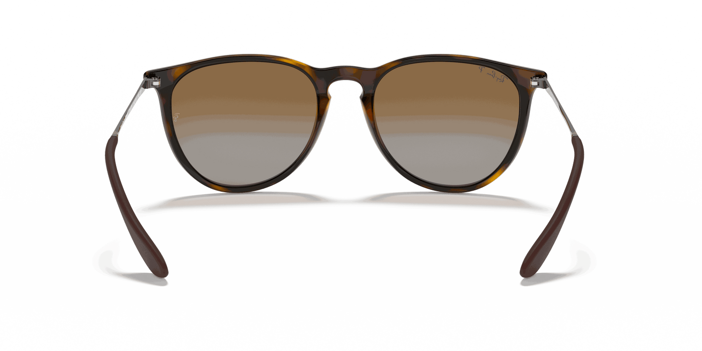 [Brown Lenses, Polished Light Havana Frame]