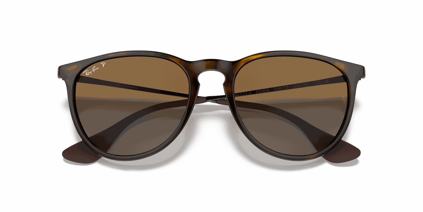[Brown Lenses, Polished Light Havana Frame]
