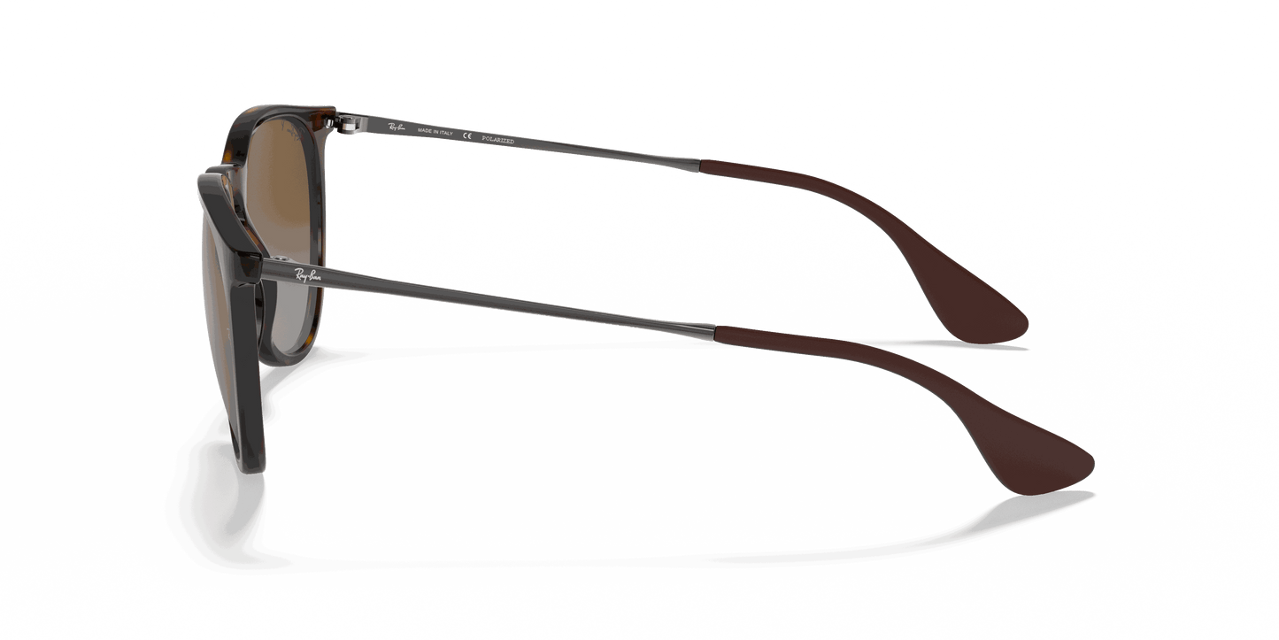 [Brown Lenses, Polished Light Havana Frame]