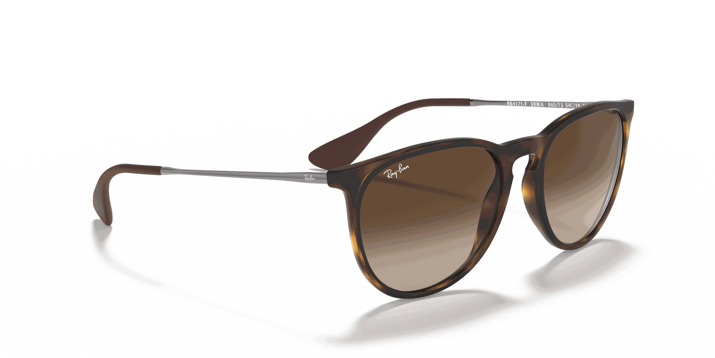 [Brown Gradient Lenses, Matte Havana Frame]