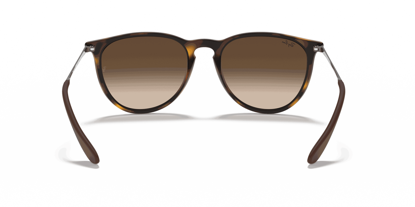 [Brown Gradient Lenses, Matte Havana Frame]