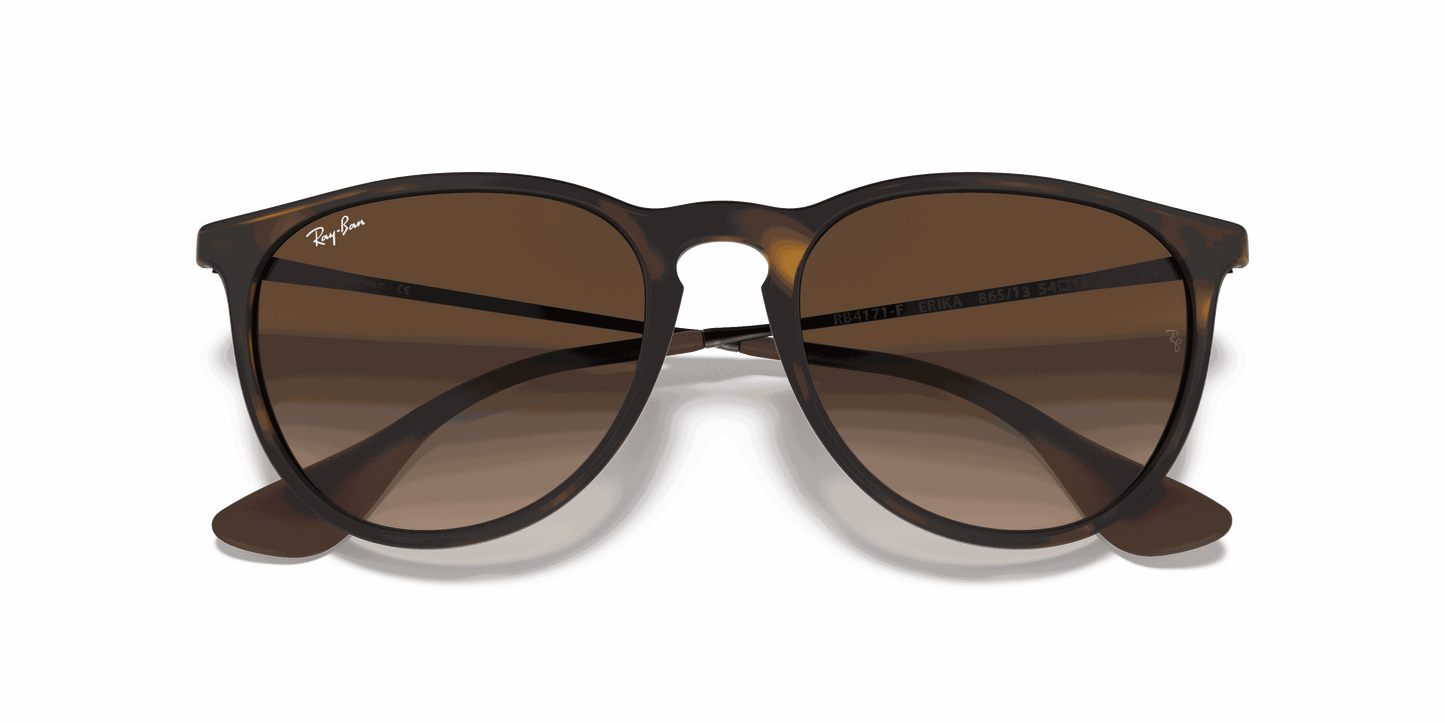 [Brown Gradient Lenses, Matte Havana Frame]