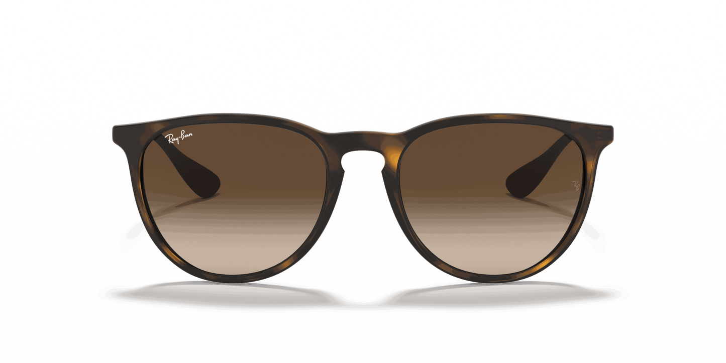 [Brown Gradient Lenses, Matte Havana Frame]