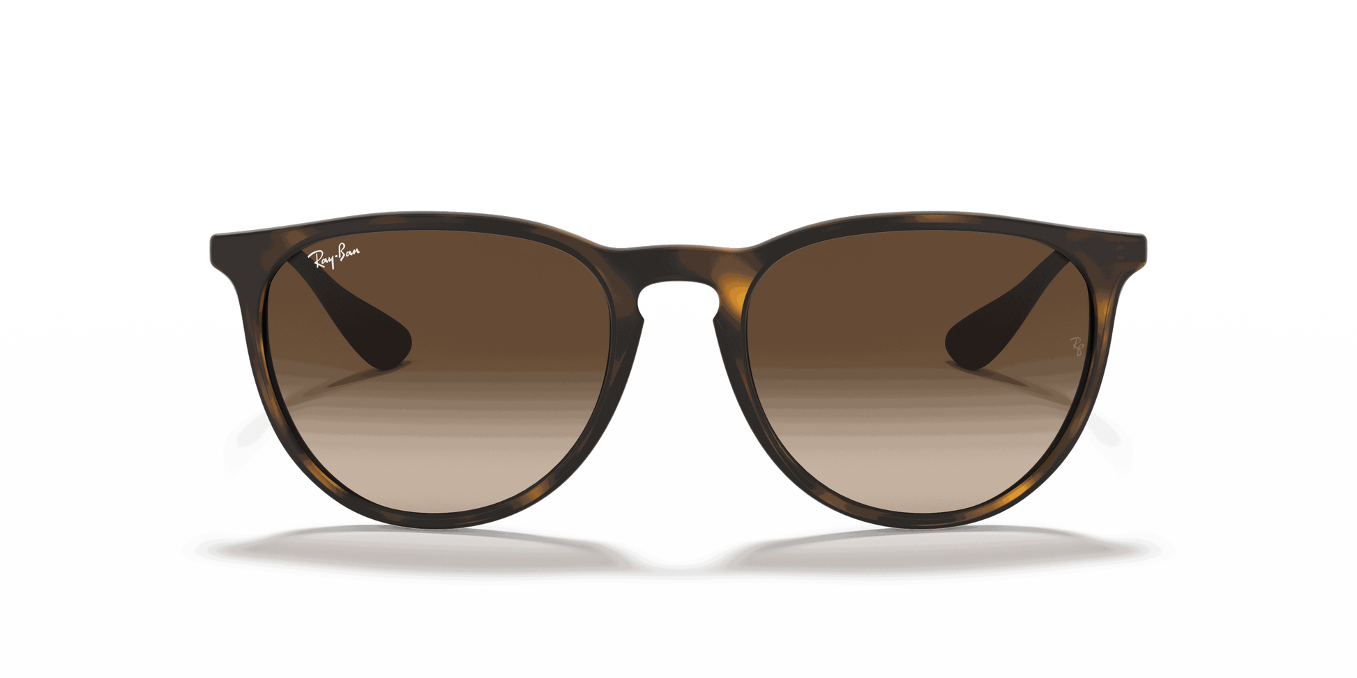 [Brown Gradient Lenses, Matte Havana Frame]