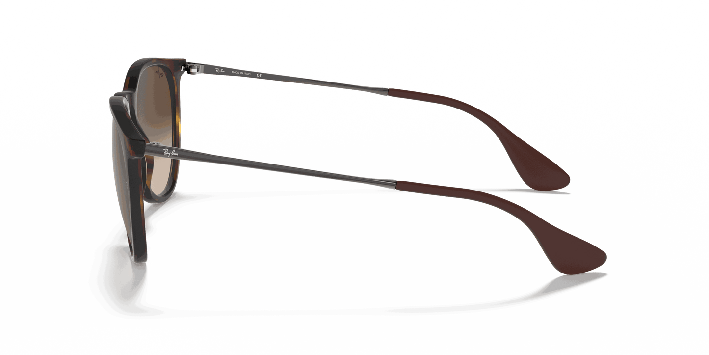 [Brown Gradient Lenses, Matte Havana Frame]