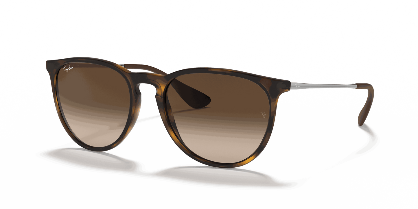 [Brown Gradient Lenses, Matte Havana Frame]