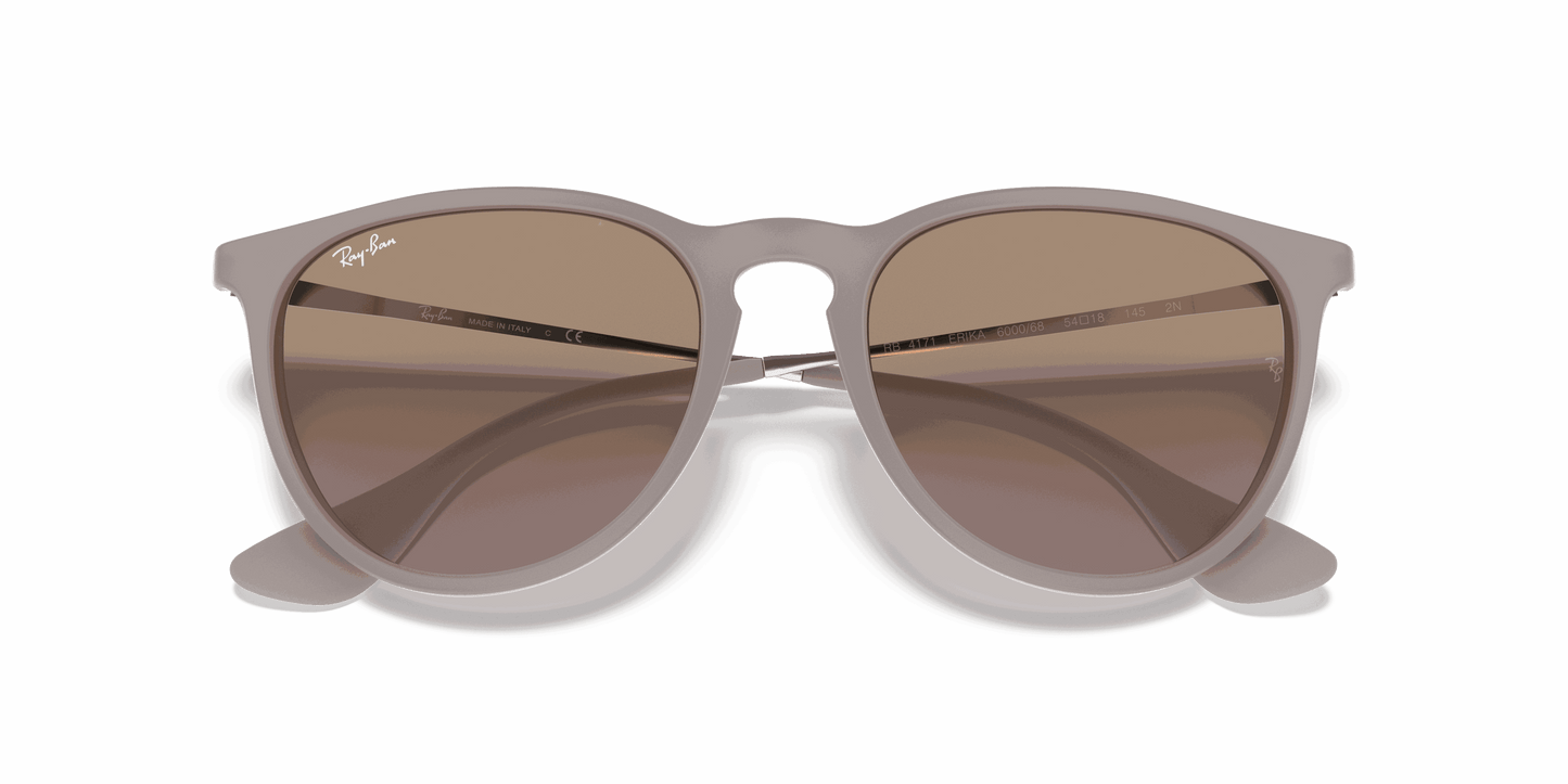 [Brown/Violet Lenses, Matte Dark Sand Frame]