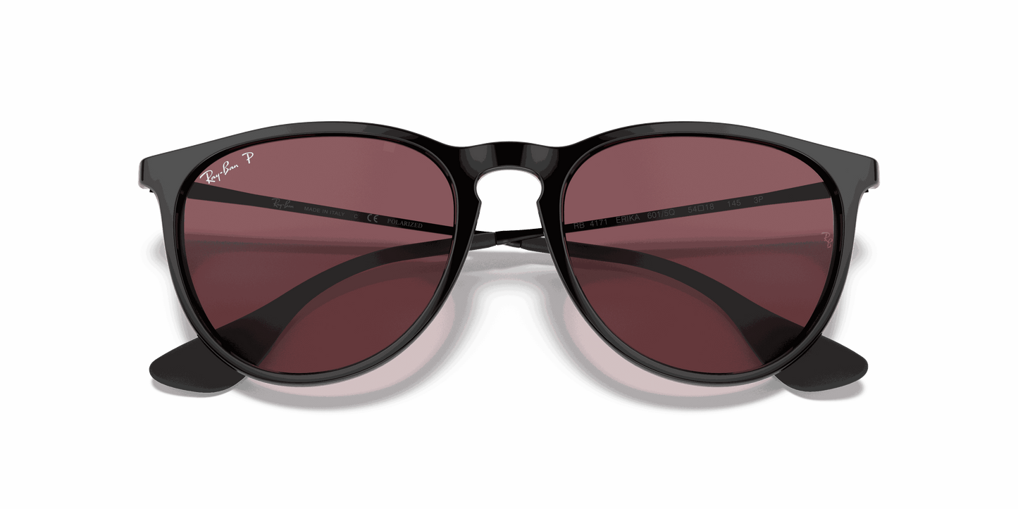 [Purple Lenses, Polished Black Frame]