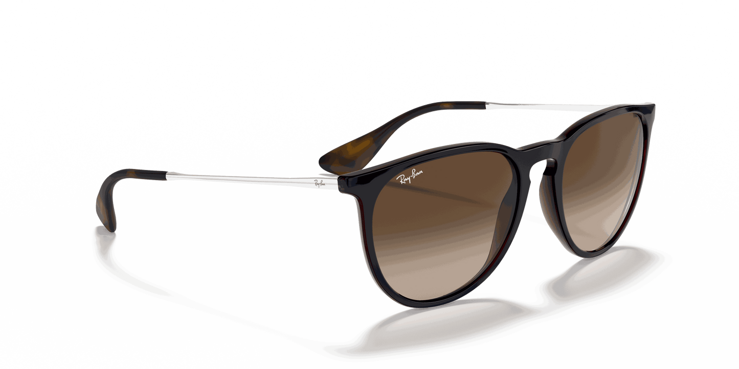 [Brown Gradient Lenses, Polished Blue Frame]