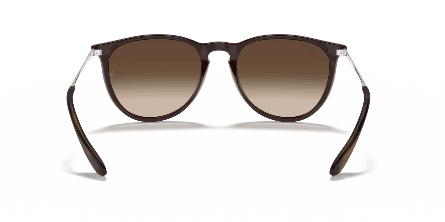 [Brown Gradient Lenses, Polished Blue Frame]