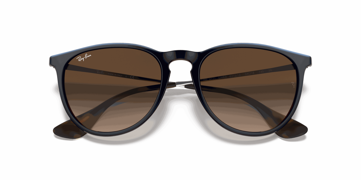 [Brown Gradient Lenses, Polished Blue Frame]