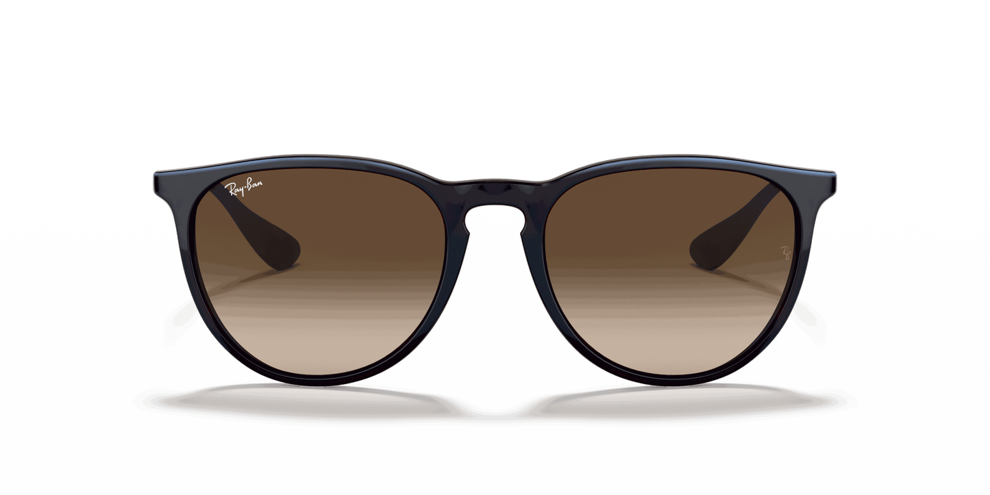 [Brown Gradient Lenses, Polished Blue Frame]