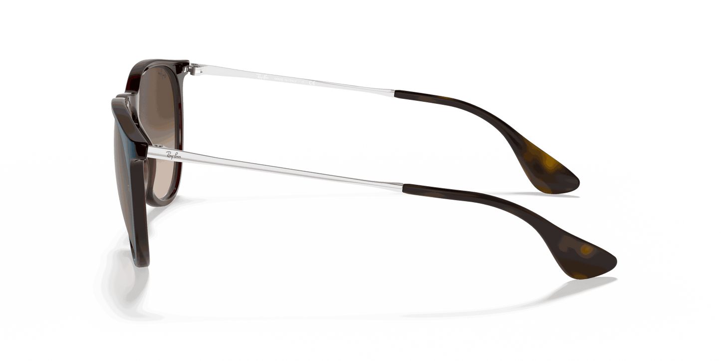 [Brown Gradient Lenses, Polished Blue Frame]