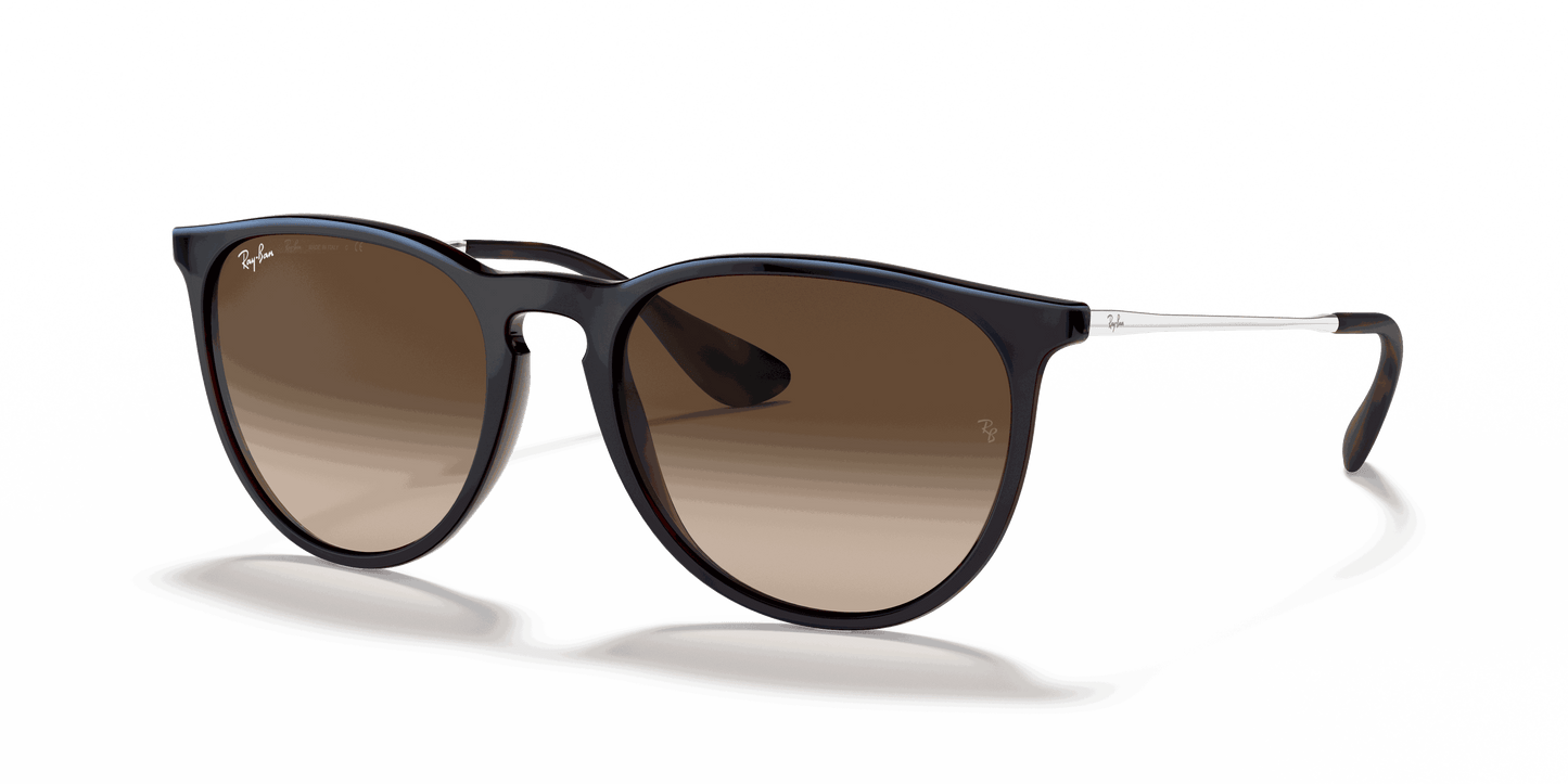 [Brown Gradient Lenses, Polished Blue Frame]