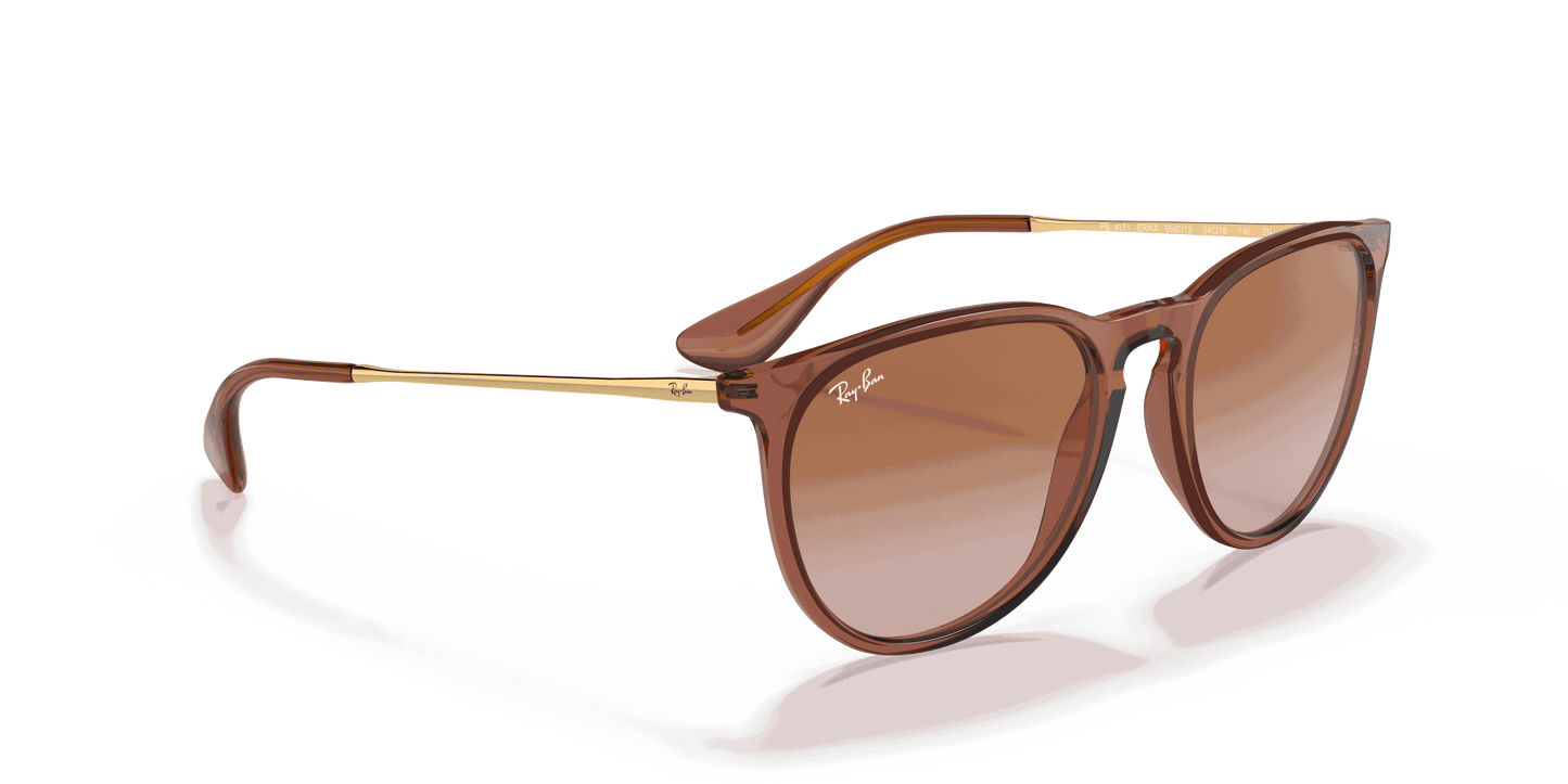 [Gradient Brown Lenses, Polished Transparent Light Brown Frame]