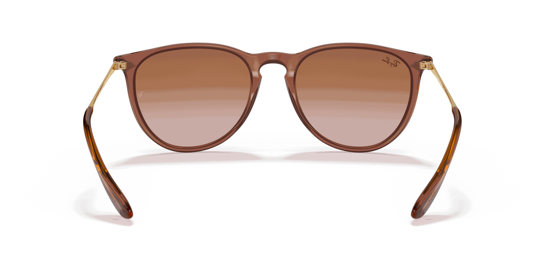 [Gradient Brown Lenses, Polished Transparent Light Brown Frame]