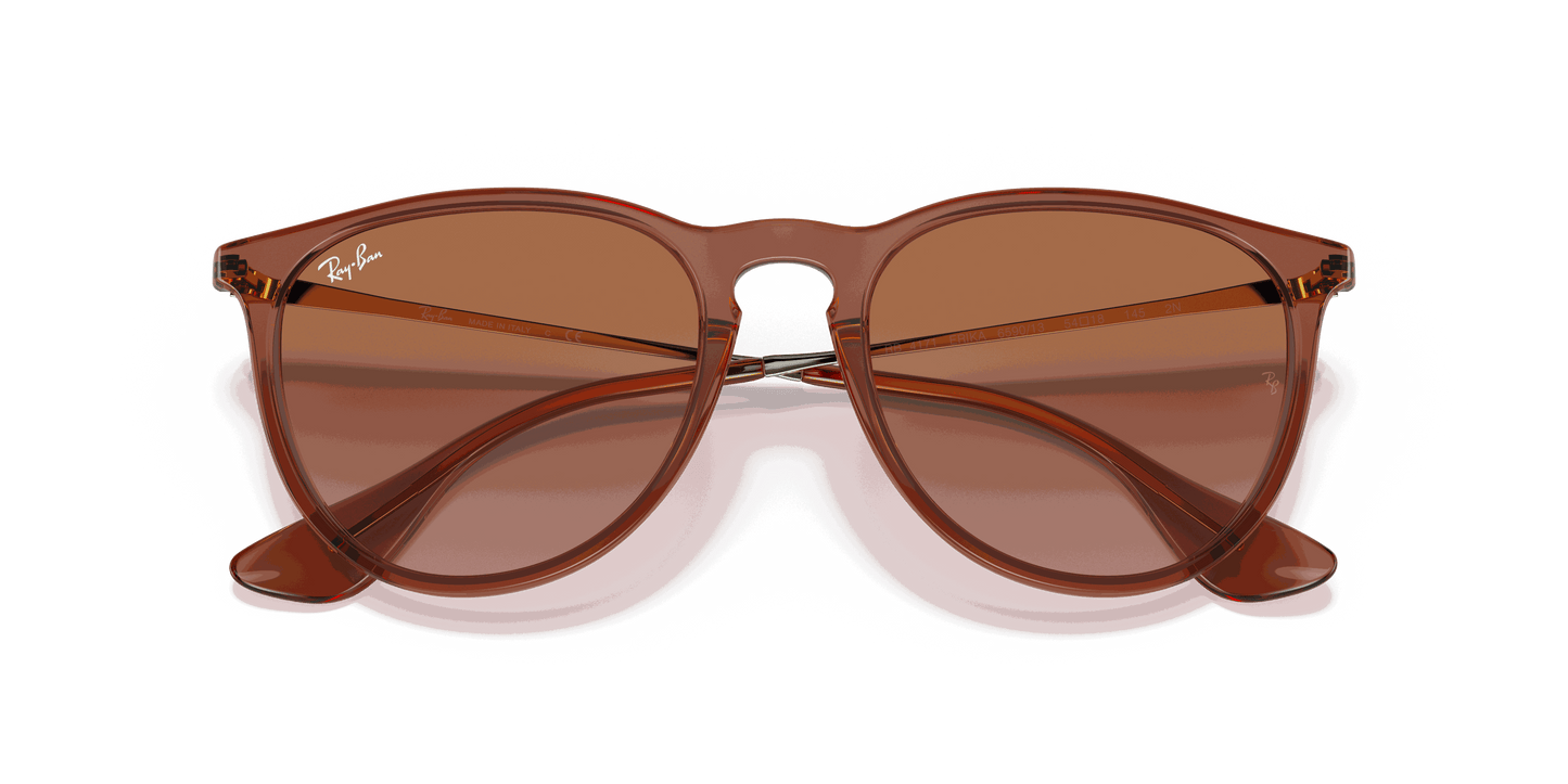 [Gradient Brown Lenses, Polished Transparent Light Brown Frame]