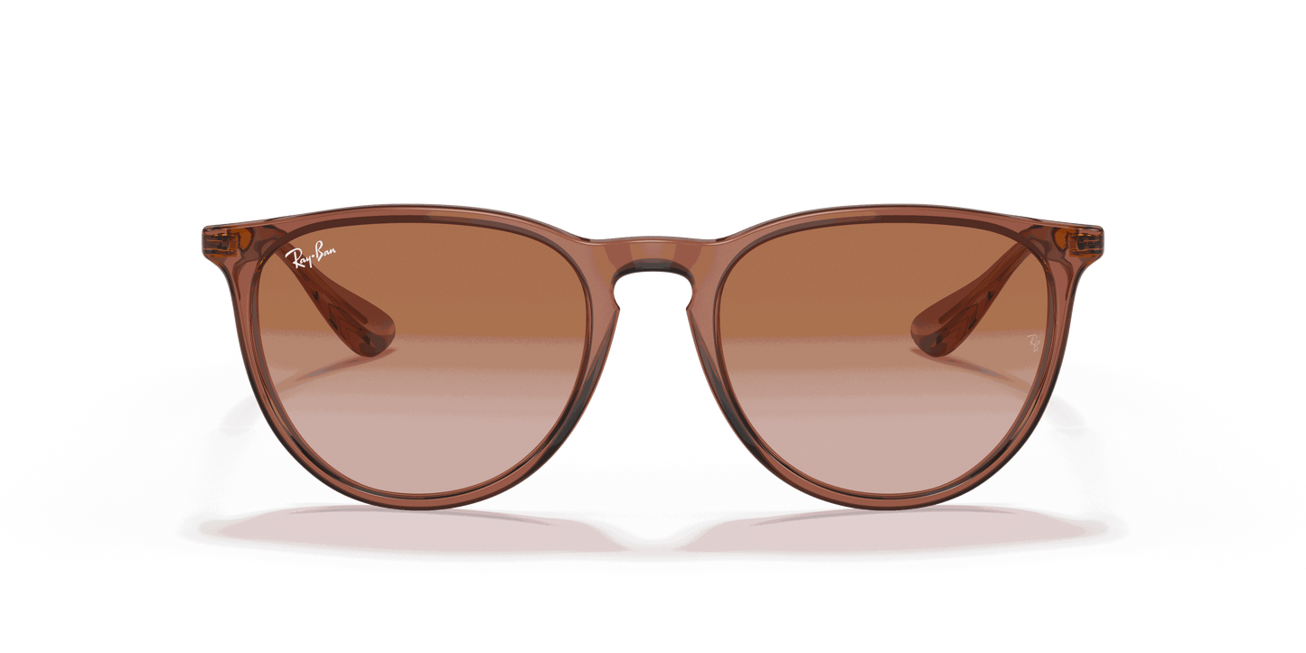 [Gradient Brown Lenses, Polished Transparent Light Brown Frame]