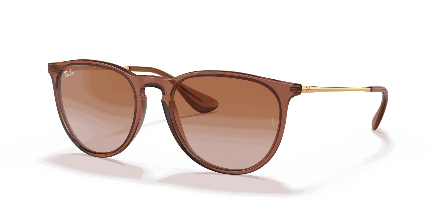 [Gradient Brown Lenses, Polished Transparent Light Brown Frame]